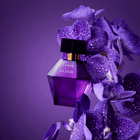 La Rive Elixir Eau de Parfum Feminino
