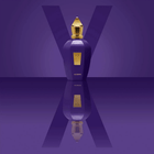 Xerjoff Accento Eau de Parfum Unissex
