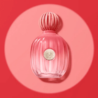 Antonio Banderas The Icon Splendid For Her Eau de Parfum Feminino